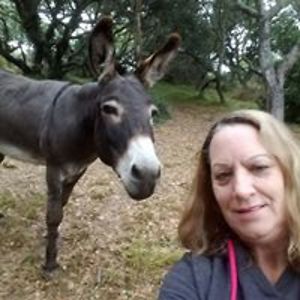 michelemickeyc avatar