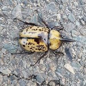 millerwilliamh avatar