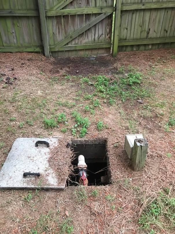 My Friend's Septic Tank Looks Like Rafiki From Lion King