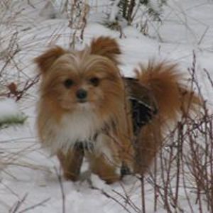 leannemurray71 avatar