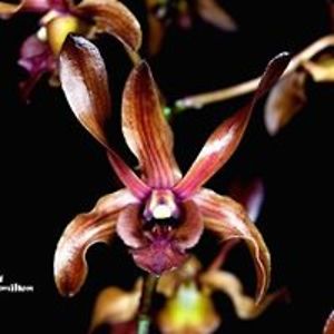 joseizquierdo_rivera avatar