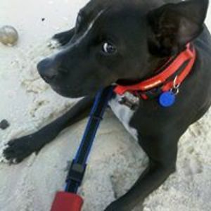 louise_massie avatar