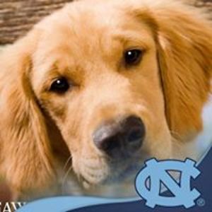 manthabeardeb avatar