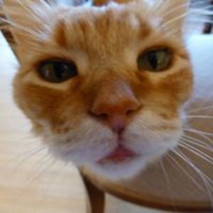 susan_smeltzer avatar