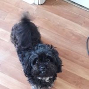 clarkewendy30 avatar