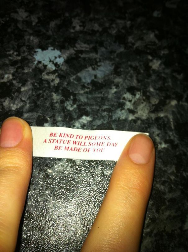 Sassy fortune cookie with the message, "Be kind to pigeons. A statue will some day be made of you," held between fingers.