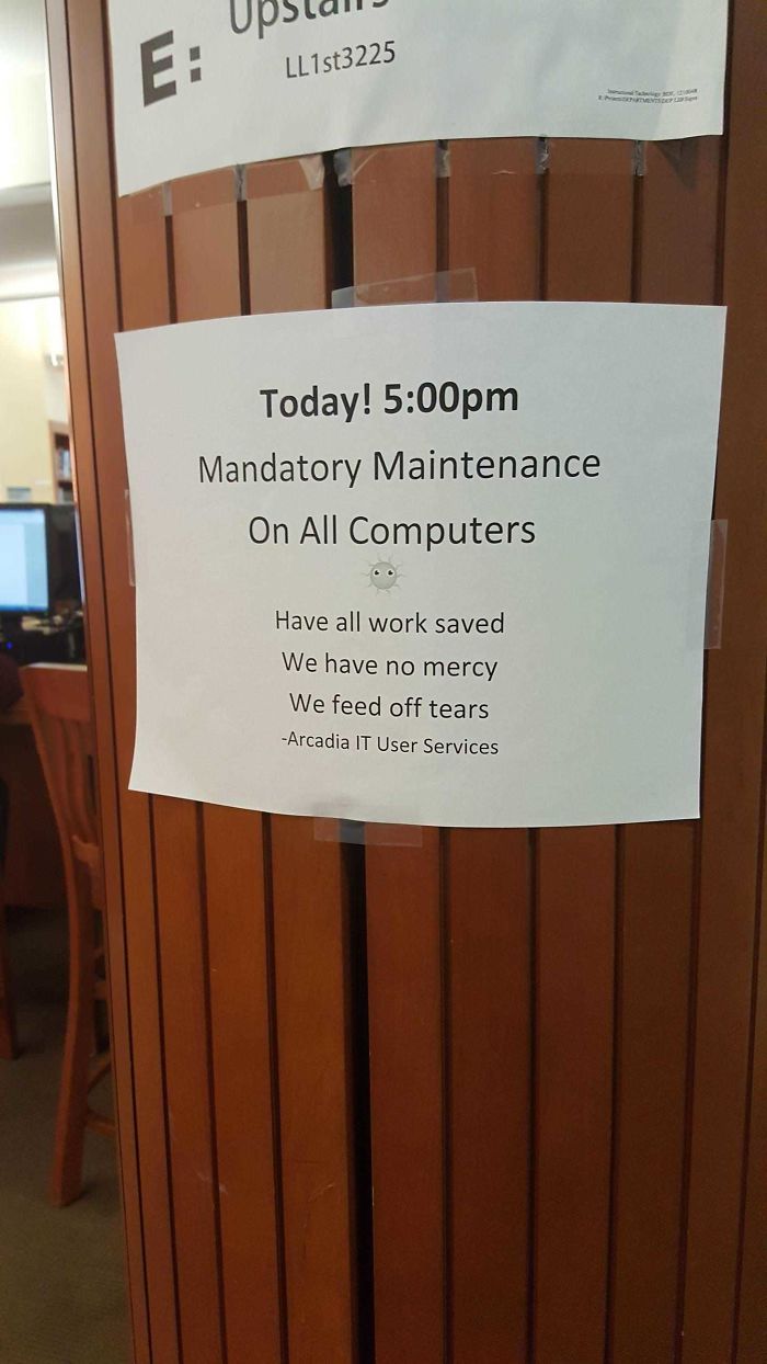 In My School's Library