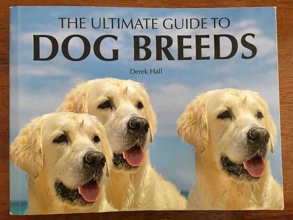 Book cover with three Golden Retriever faces humorously edited, showcasing hilarious and disastrous Photoshop fails.