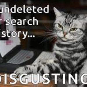 cindyreedsnyder avatar