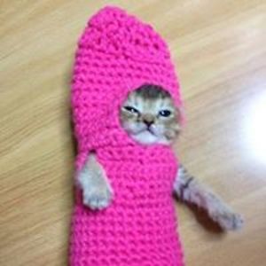 villegasjason avatar