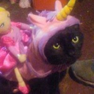 donniedarko8271997 avatar