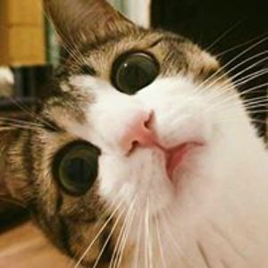 hiroshi_ramos avatar