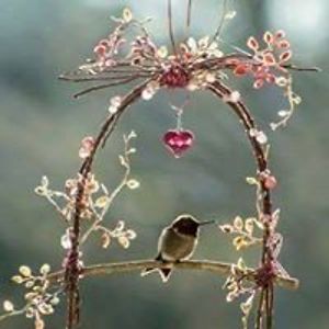 katiecoates2010 avatar