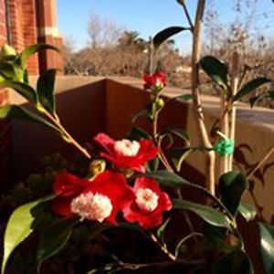 barbara_j_brian avatar