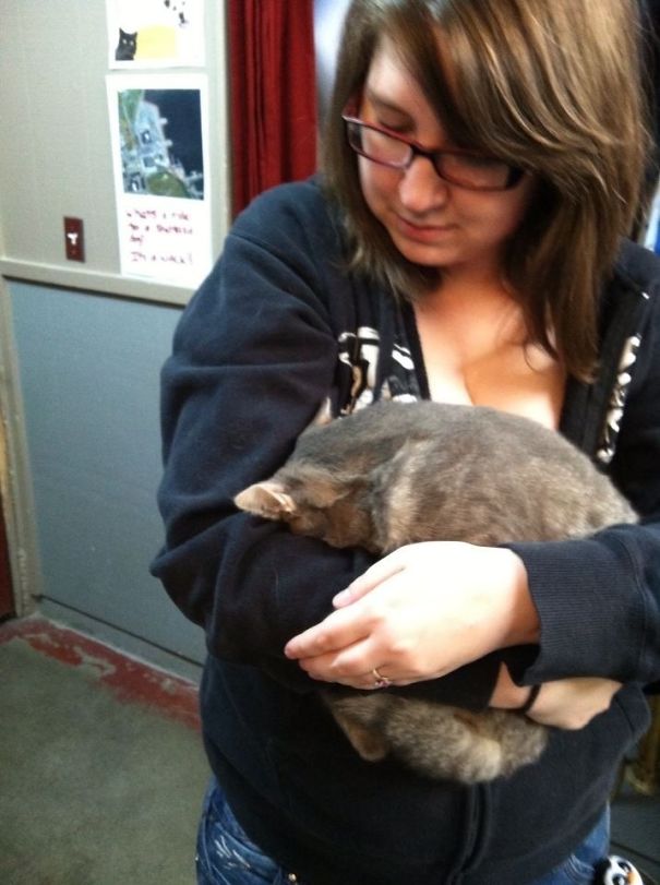 I Volunteer At A Local Shelter. They Kept Telling Me That I Shouldn't Hold Her Because She's Shy And Doesn't Like People. Then She Did This For About Ten Minutes While Refusing To Be Let Go
