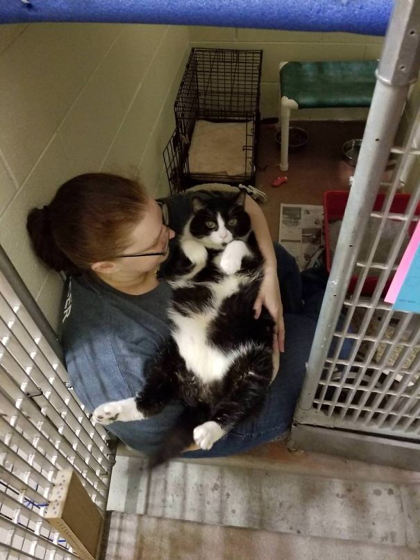 I Volunteer At A Local Shelter. He Weighed 26 Pounds When He Arrived, And He Was A Giant Teddy Bear