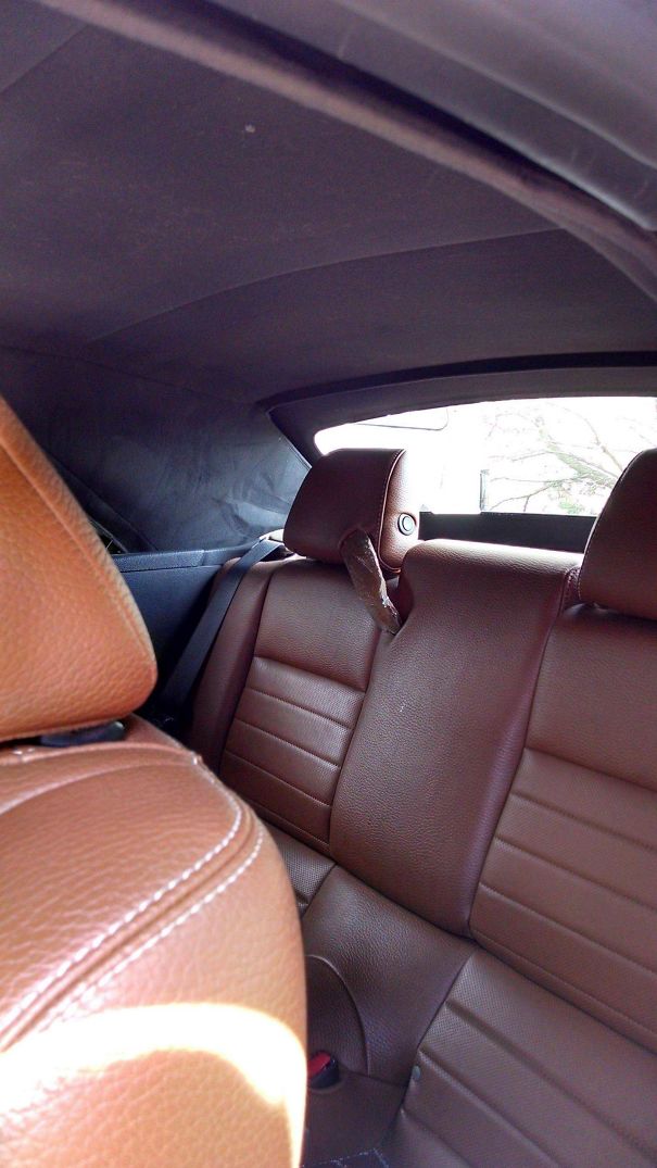 Close Call With A Lawn Mower Blade