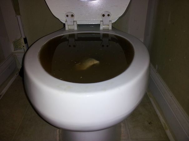 Phew... That Was A Close Call!