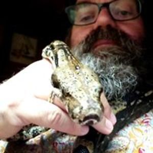 olle_svensk_strand avatar