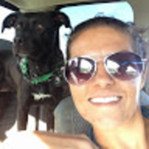 cristinasipos-bozzai avatar