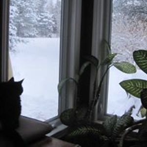 larrycosgrave avatar