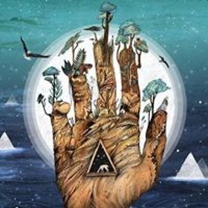 paulina_derecka93 avatar