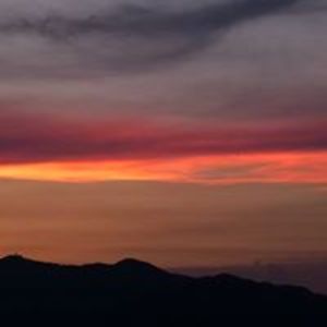 doforyourbest2008 avatar