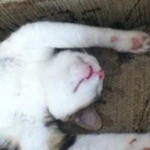 fortneyapril81 avatar