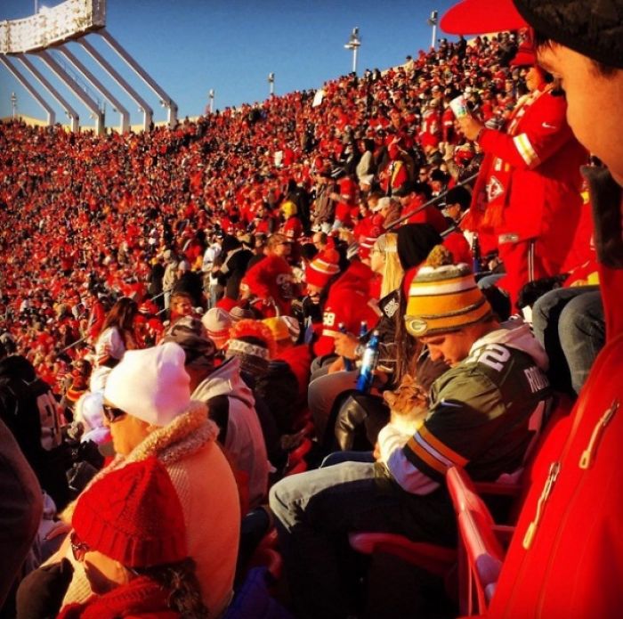 My Friend Found A Cat In The Stadium At An NFL Game. Security Let Him Keep It