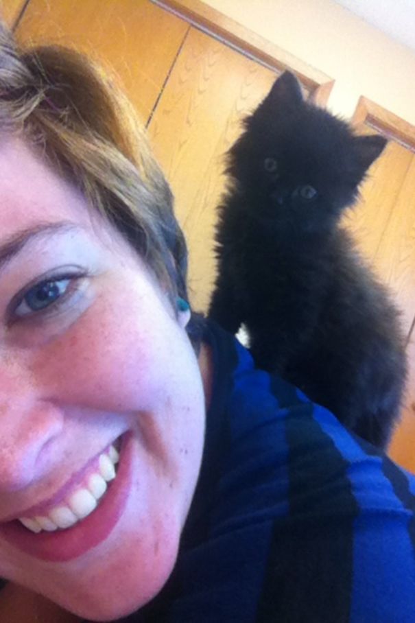 This Little Nugget Of A Cat Is Why I Love Volunteering At The Animal Shelter