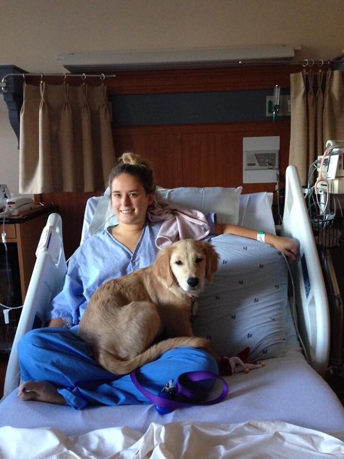 I Had To Have A Few Surgeries Over The Course Of A Week. The Nurses At My Hospital Let My Puppy Come Visit For A Few Hours