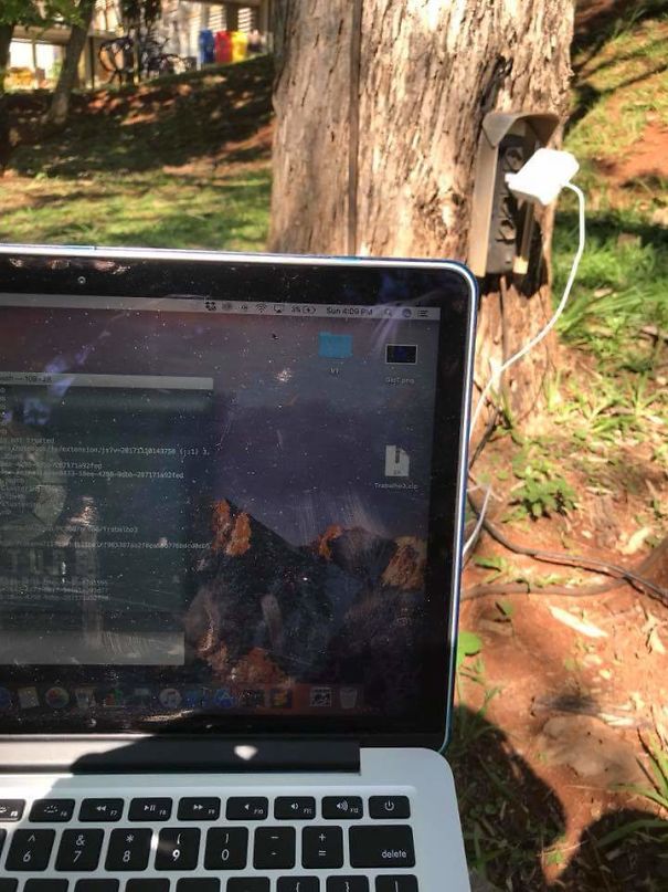 Some Of The Trees At My College Have Outlets On Them