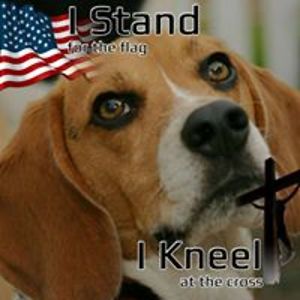 marylindacurves avatar