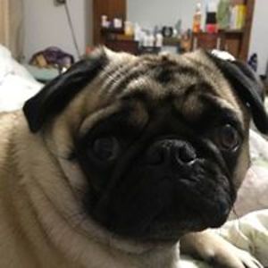 gonzalez101306 avatar