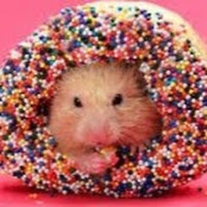 lillianwatson avatar