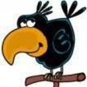 littleraven28 avatar