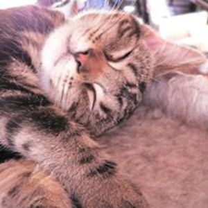 dragndust31858 avatar