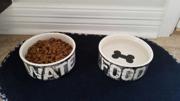 I'm Starting A Fight With My Wife