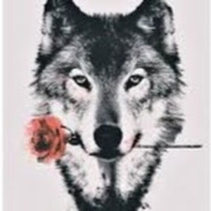 mckinleywinkler avatar