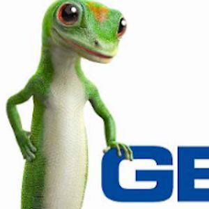 lakshaychawla avatar