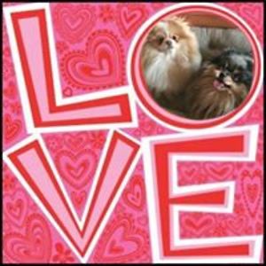 keystoneconnect avatar