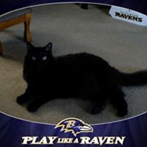 waterfall2653 avatar