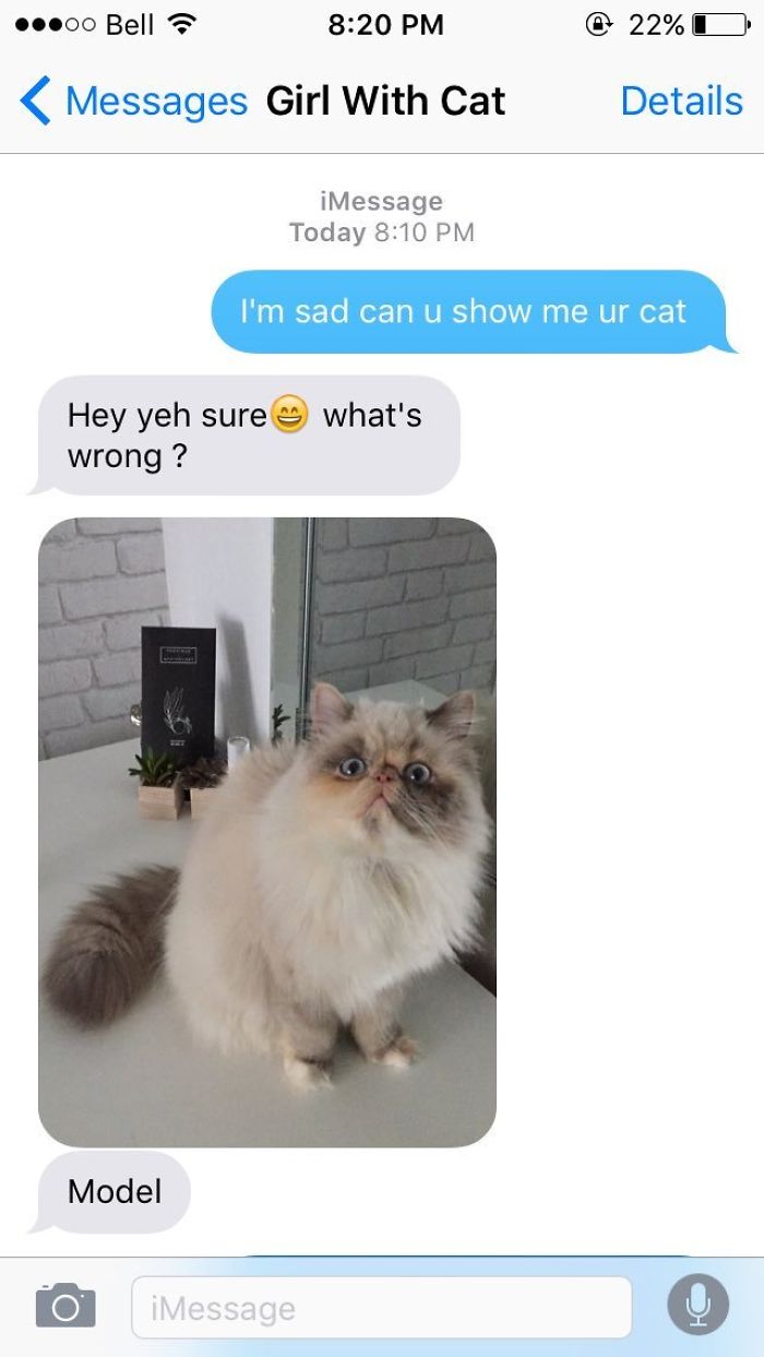 Whenever I'm Sad I Text This Girl To Show Me Her Cat