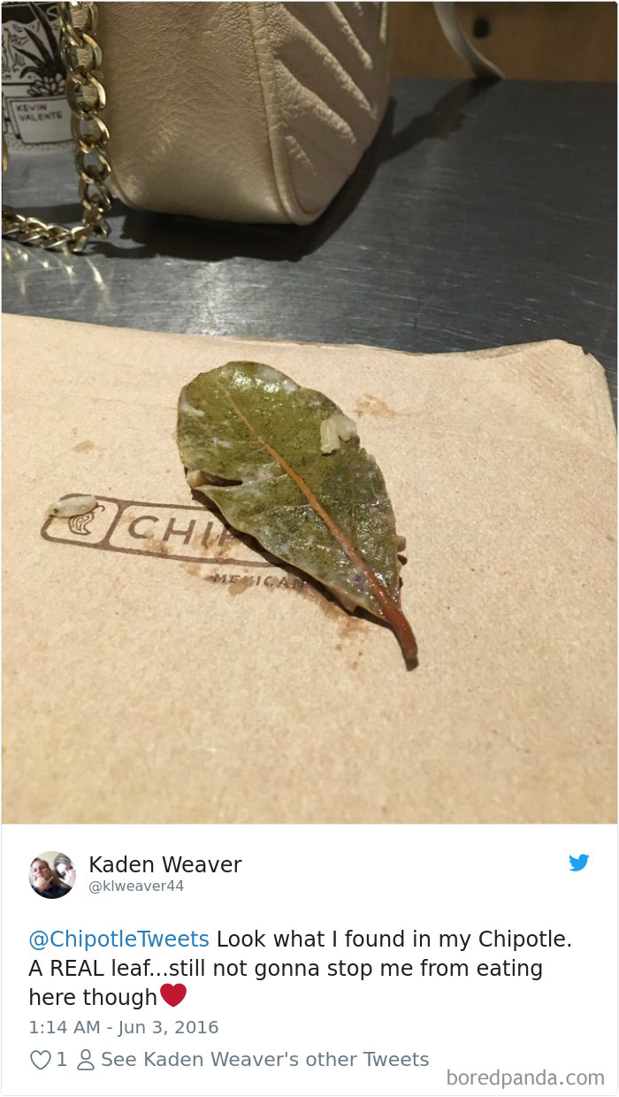 36 Times People Found Some Strange Leaves In Their Food, And Complained About It Online 36 Times People Found Some Strange Leaves In Their Food, And Complained About It Online