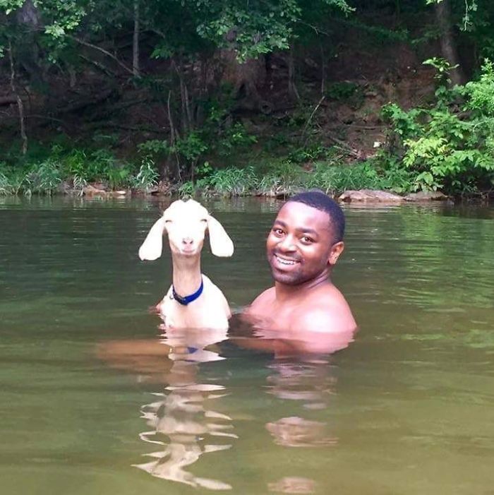 I'm So Weak My Cousin Really Went Swimming With A Goat And They Both Look Happy As Hell
