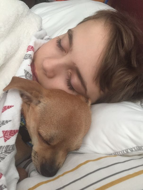 Home From School With The Flu. Asked My Son Why The Top Of Our Teacup Chihuahua’s Head Was Wet When They Woke Up From Nap Time. He Said, “I Licked Him. I Wanted To Say ‘I Love You’ In His Language So He Would Really Know"