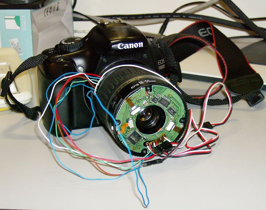 I Made A Macro Lens From Canon 18-55 And Was Surprised By The Shots It Can Take I Made A Macro Lens From Canon 18-55 And Was Surprised By The Shots It Can Take