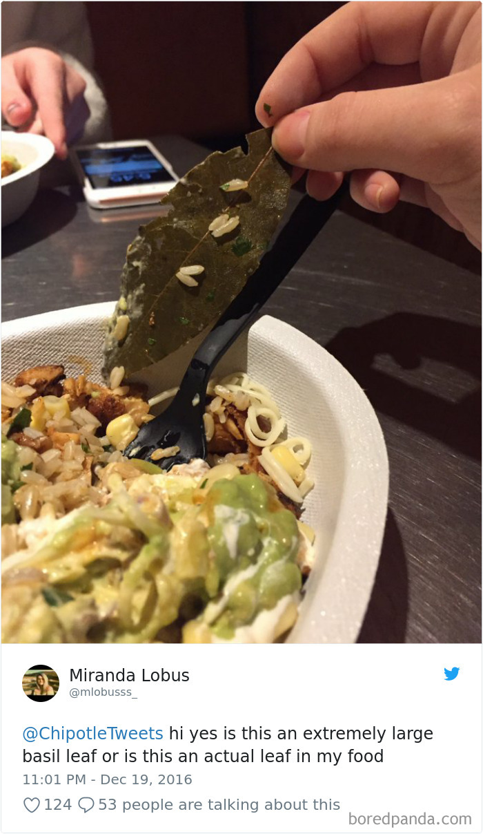 36 Times People Found Some Strange Leaves In Their Food, And Complained About It Online