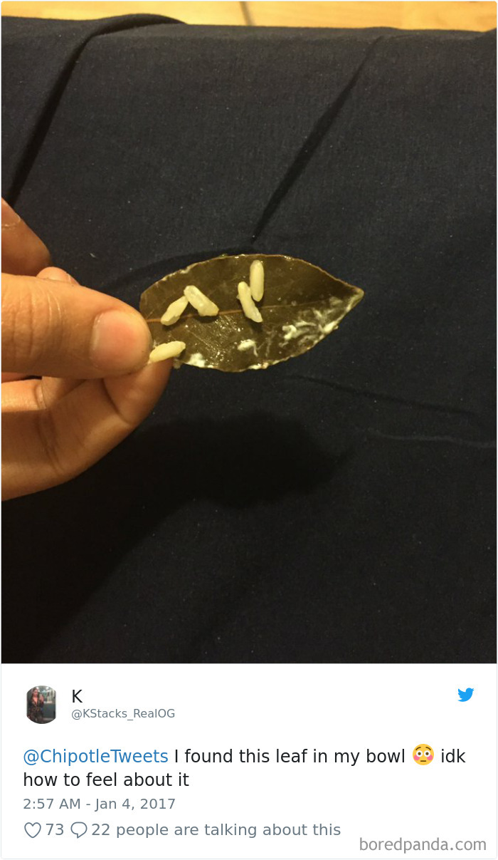 36 Times People Found Some Strange Leaves In Their Food, And Complained About It Online 36 Times People Found Some Strange Leaves In Their Food, And Complained About It Online