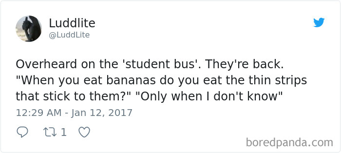 Overheard-Conversations-Tweets